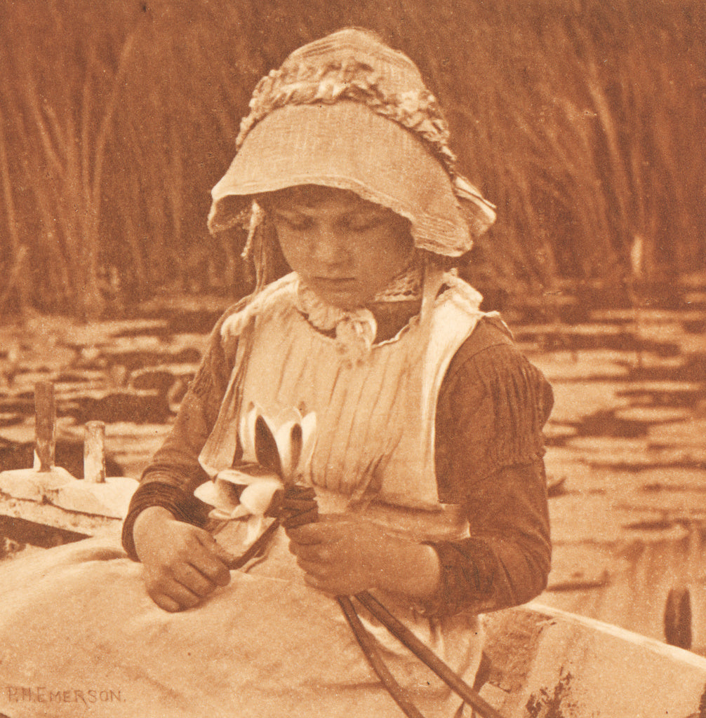 Peter Henry Emerson:Flowers of the Mere, Poster Print Wall Art