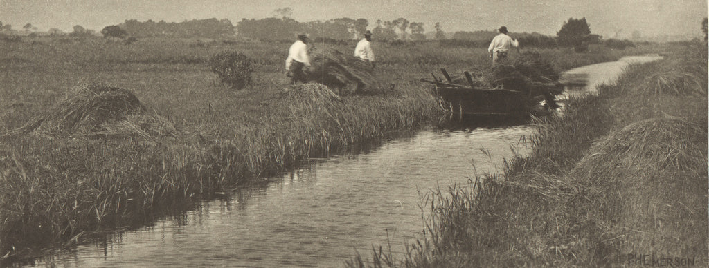 Peter Henry Emerson:The Sedge Harvest, Poster Print Wall Art
