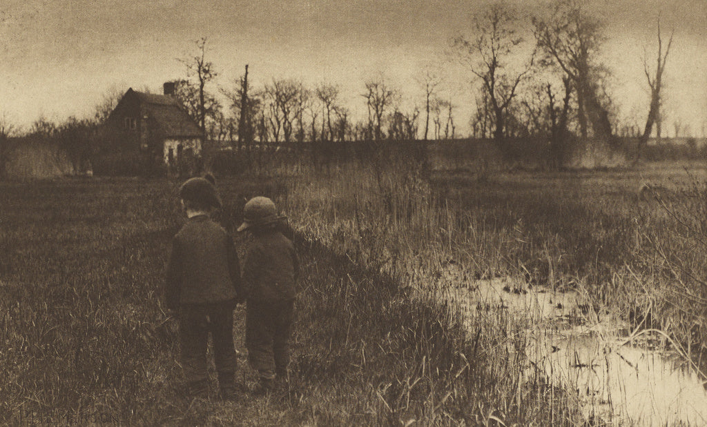 Peter Henry Emerson:A Toad in the Path: Early Spring in Norf, Poster Print Wall Art