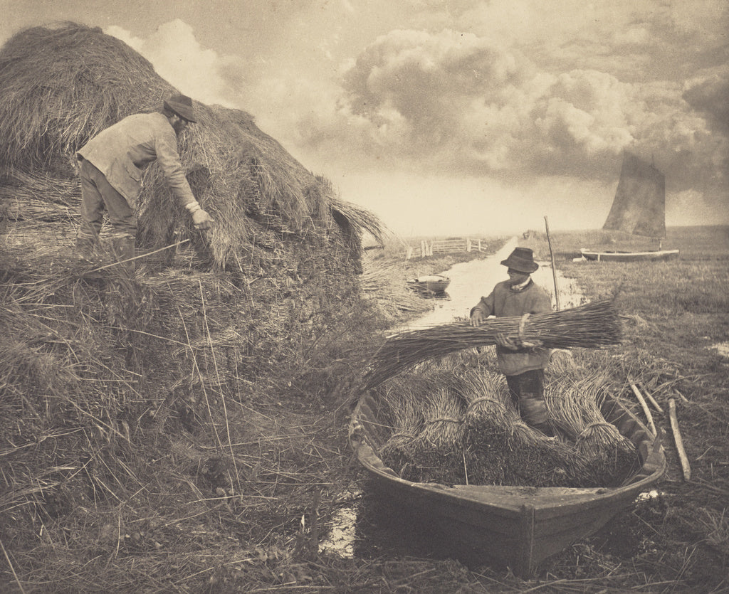 Peter Henry Emerson:Ricking the Reed, Poster Print Wall Art