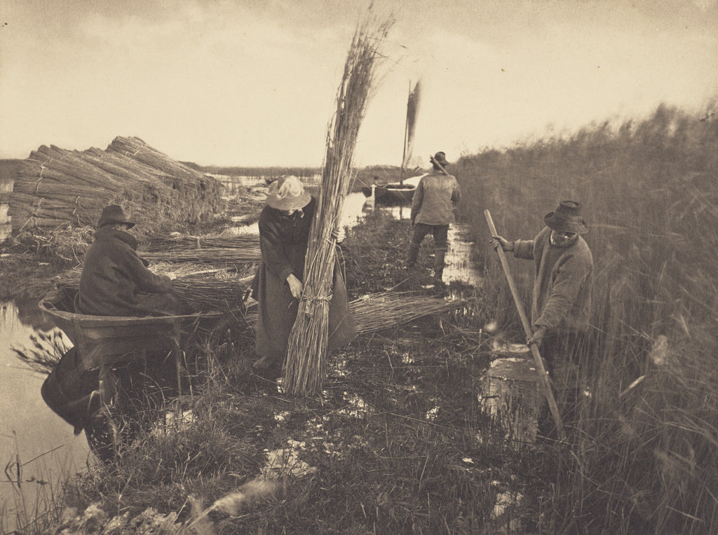 Peter Henry Emerson:During the Reed-Harvest, Poster Print Wall Art