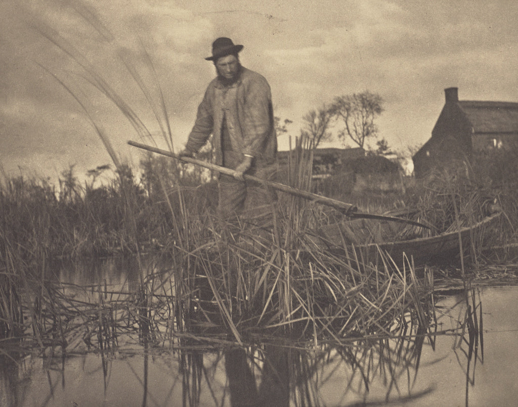 Peter Henry Emerson:Cutting the Gladdon, Poster Print Wall Art