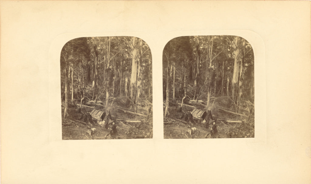 Morton Allport:Forest in Tasmania, Poster Print Wall Art