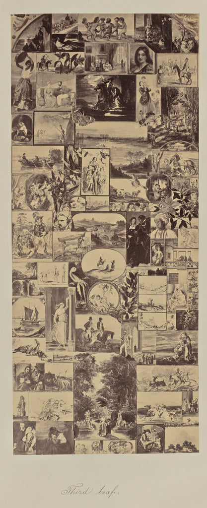 Unknown:Third leaf., Poster Print Wall Art