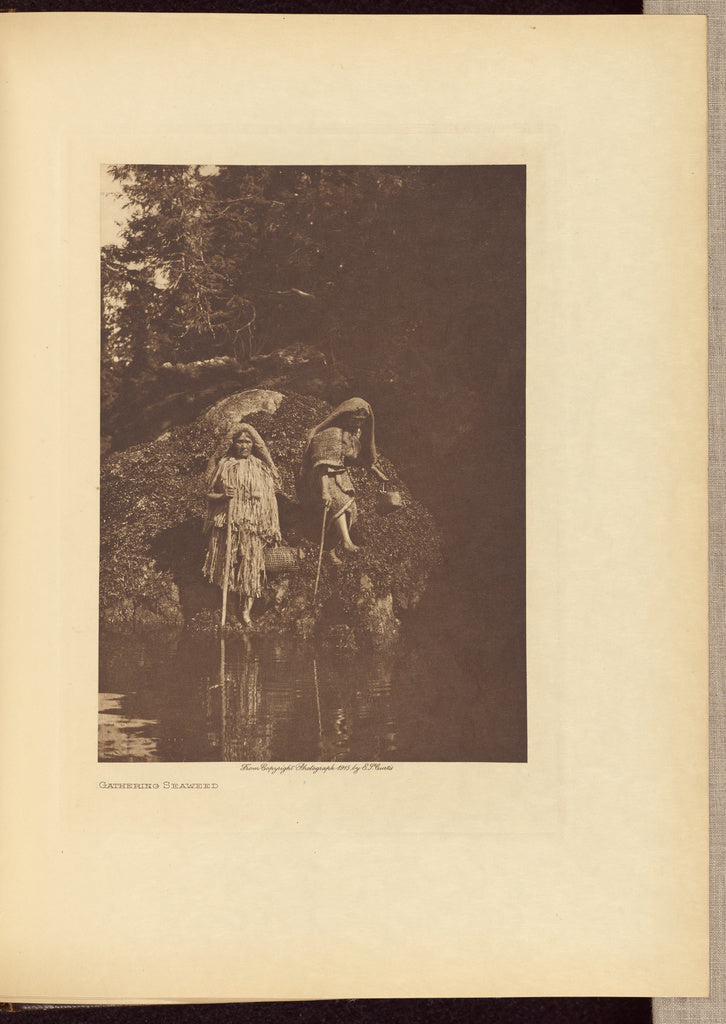 Edward S. Curtis:Gathering Seaweed, Poster Print Wall Art