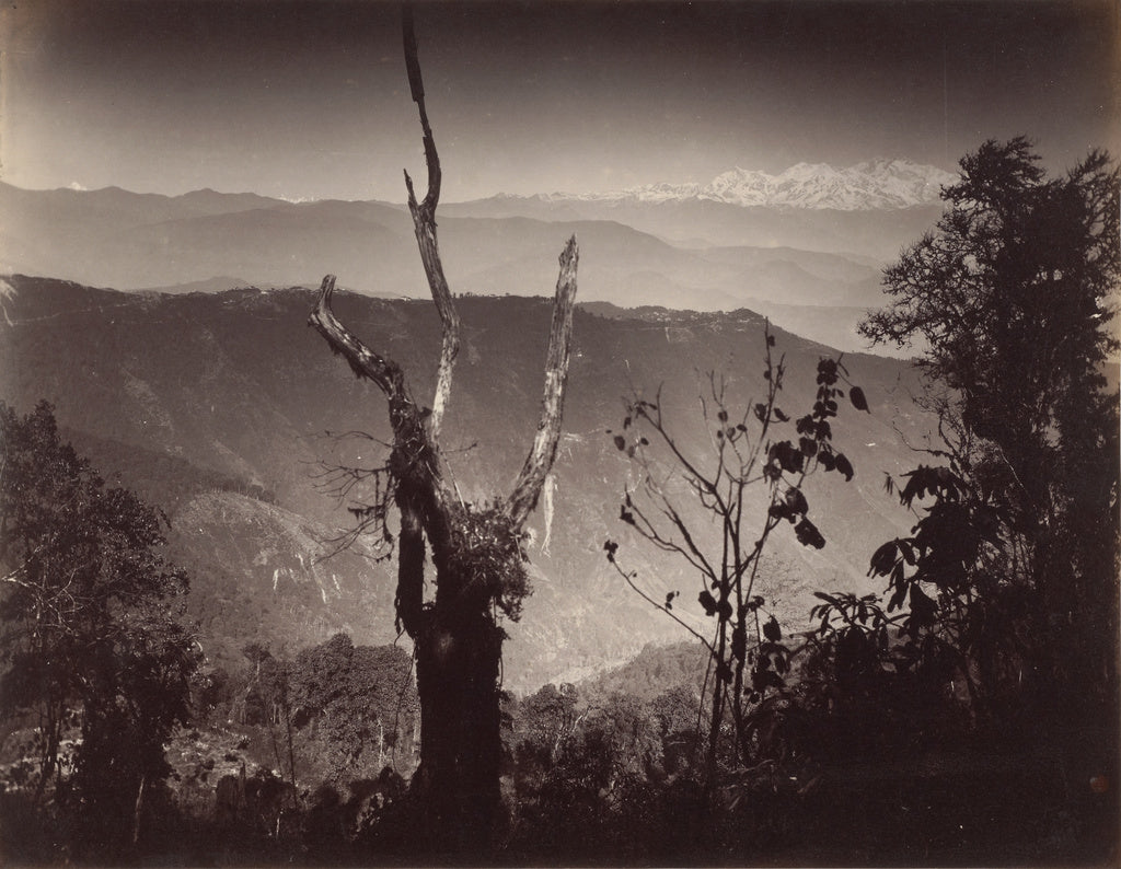 Samuel Bourne:View from Senchal, Poster Print Wall Art