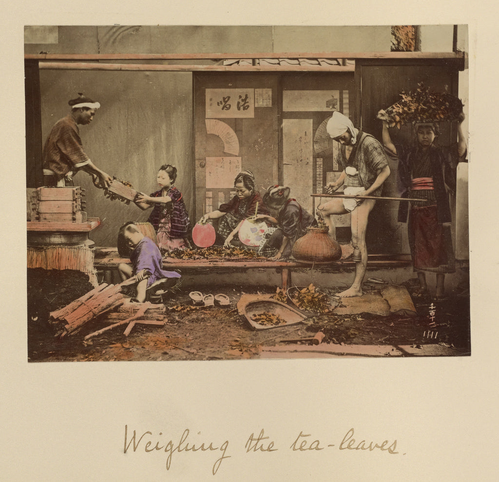 Shinichi Suzuki:Weighing the Tea Leaves, Poster Print Wall Art