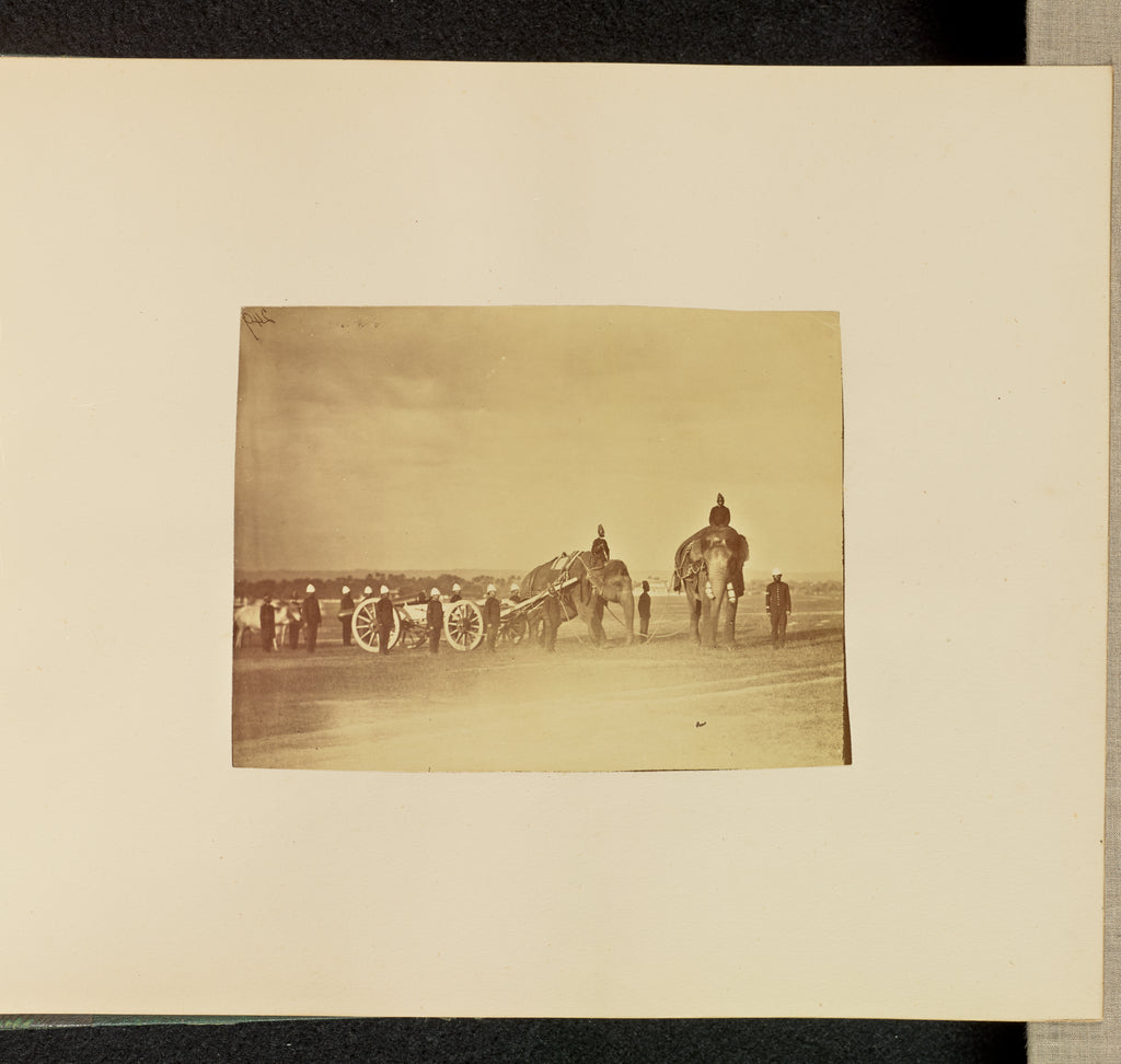 Willoughby Wallace Hooper:[Military Personnel with Elephants, Poster Print Wall Art