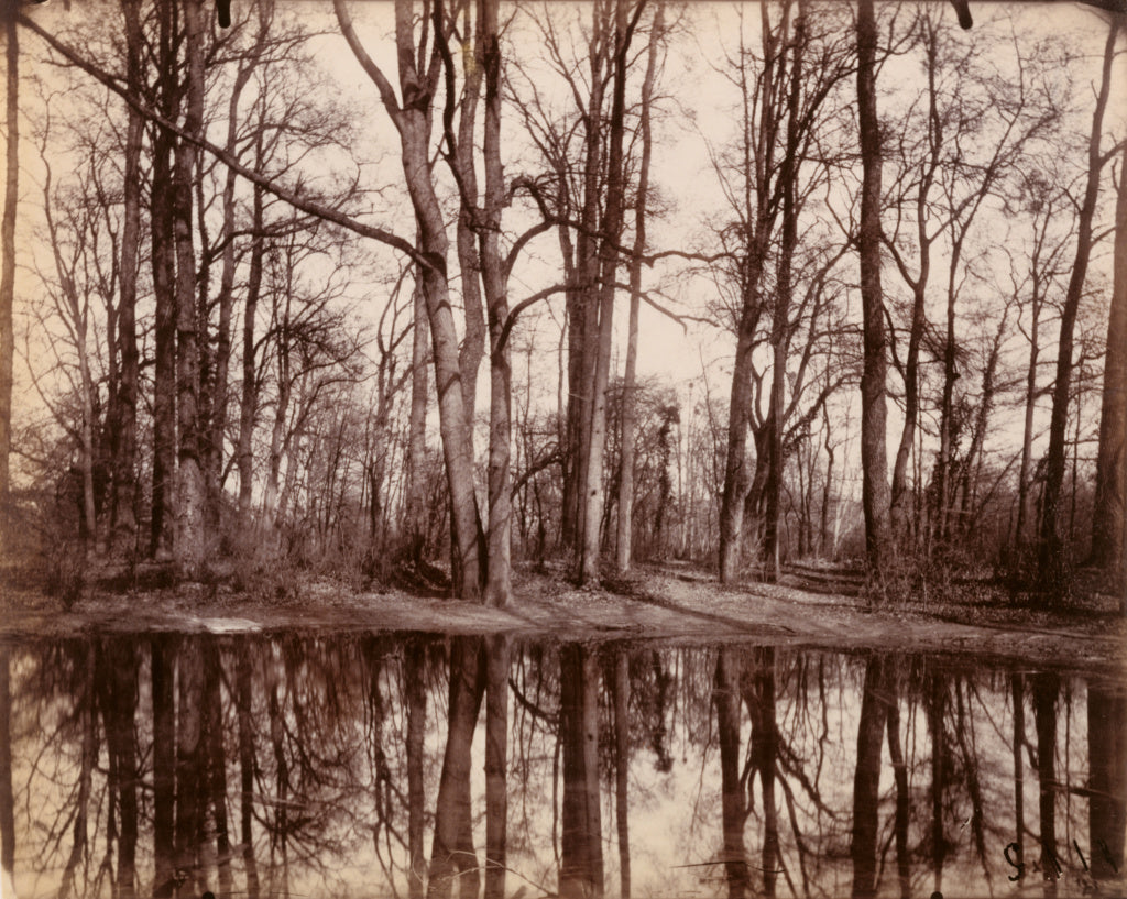 Eugène Atget:Saint-Cloud, Poster Print Wall Art