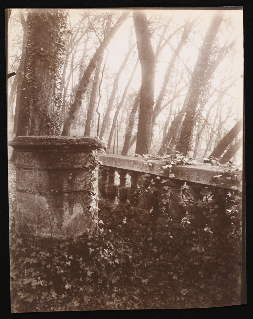 Eugène Atget:Saint-Cloud Park, Paris, Poster Print Wall Art