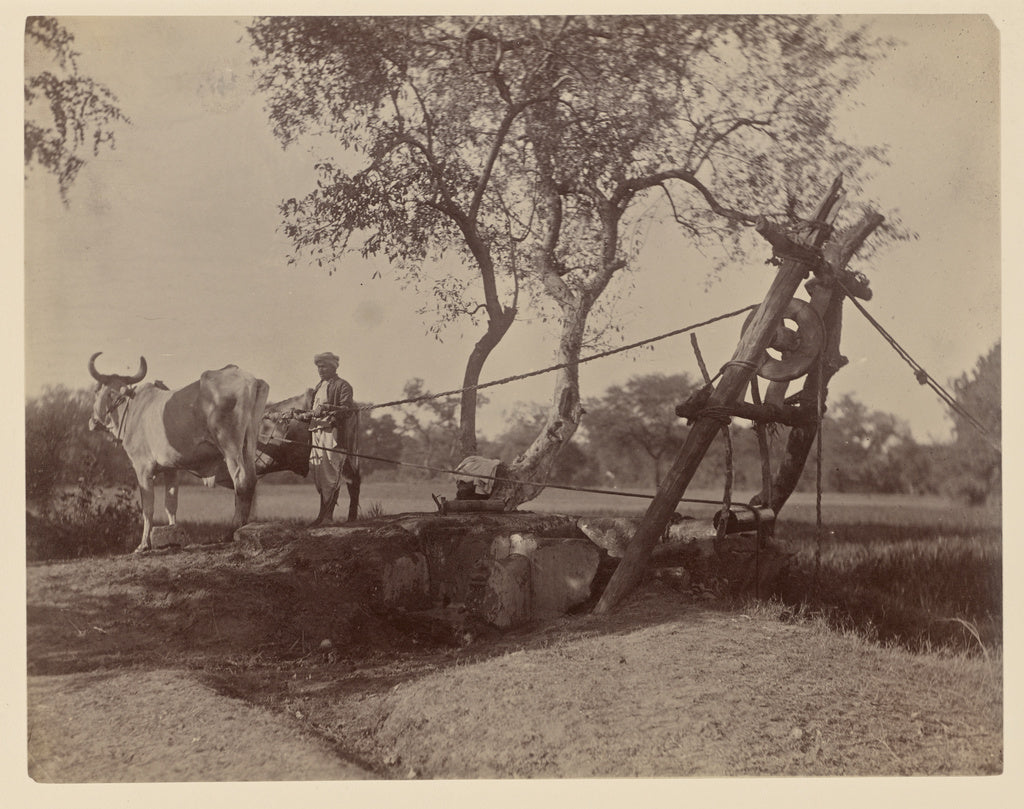 Unknown:Kos, Poster Print Wall Art