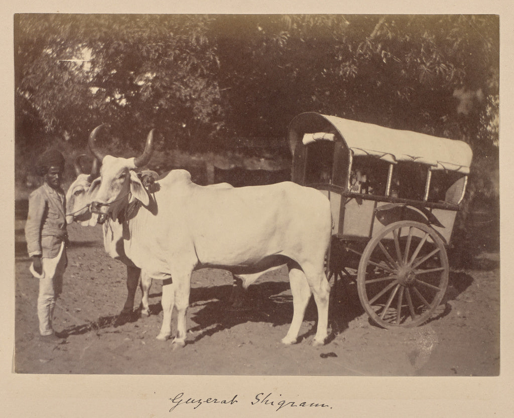 Unknown:Gazerat Shigram, Poster Print Wall Art