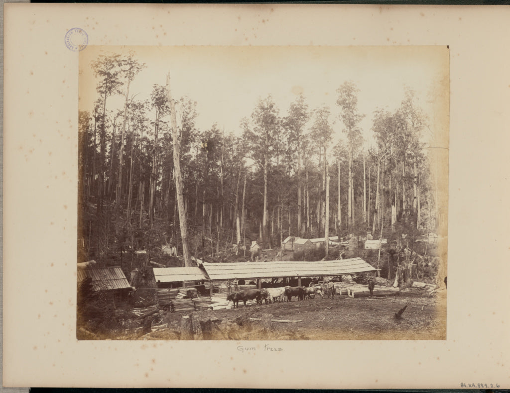 Charles Bayliss:Gum Trees, Poster Print Wall Art