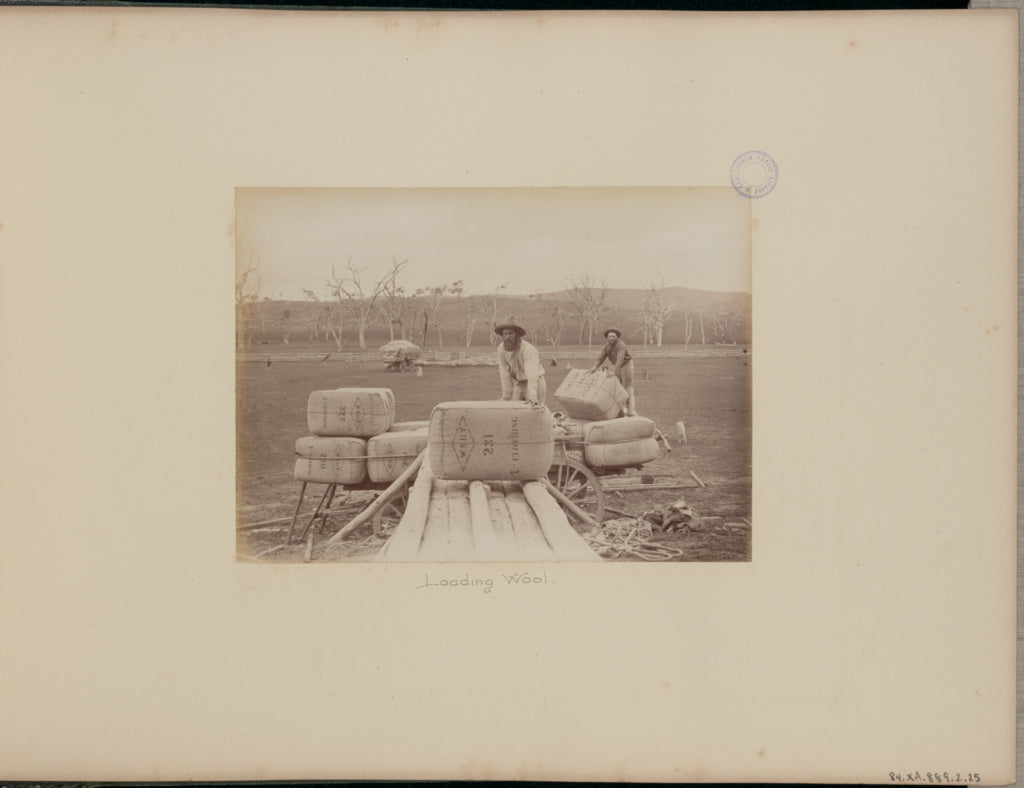 Charles Bayliss:Loading Wool, Poster Print Wall Art