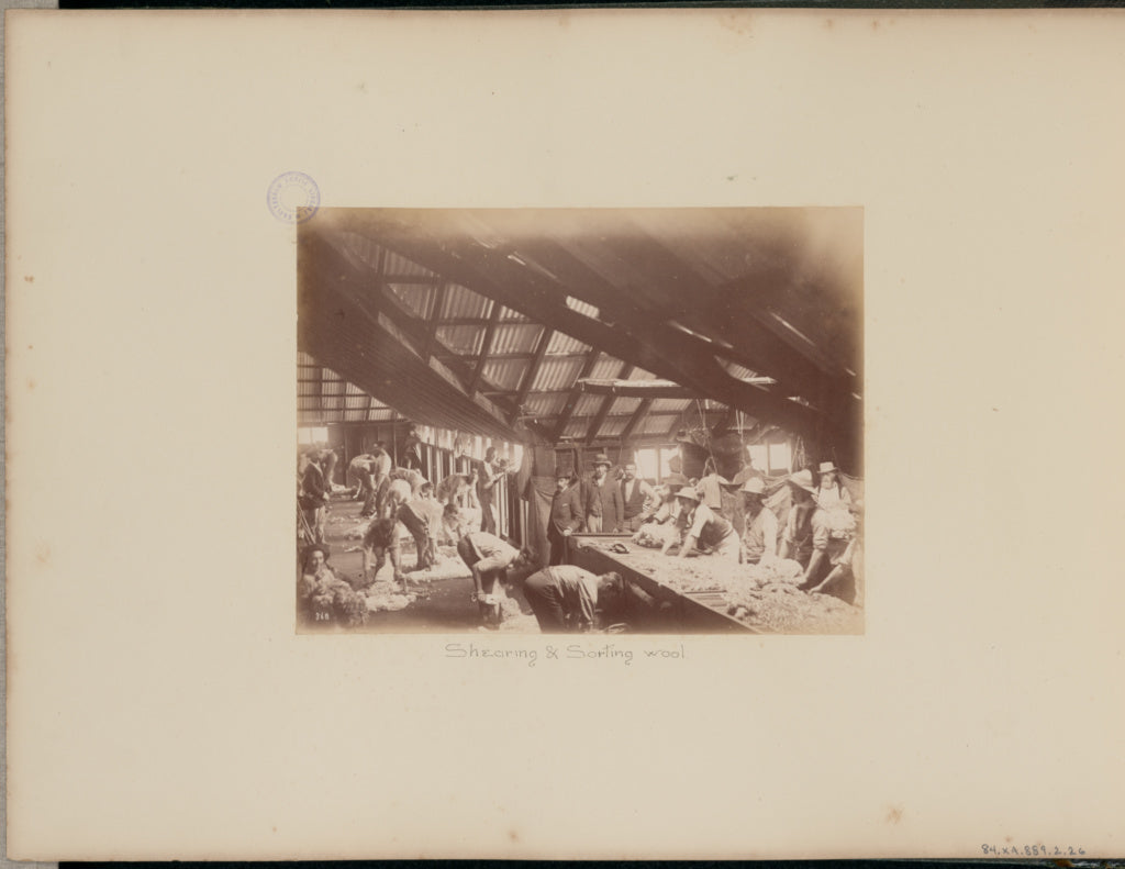 Charles Bayliss:Shearing and Sorting Wool, Poster Print Wall Art