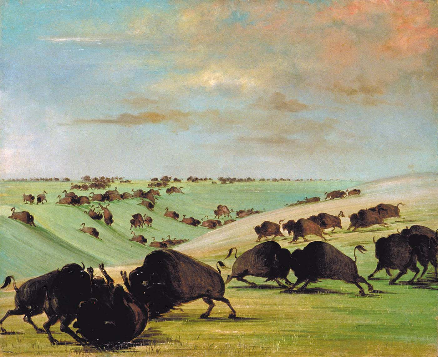 George Catlin:Buffalo Bulls Fighting in Running Season, Uppe,16x12"(A3)Poster