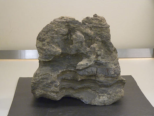 ,Scholar's Rock 18th–20th cent,16x12"(A3)Poster