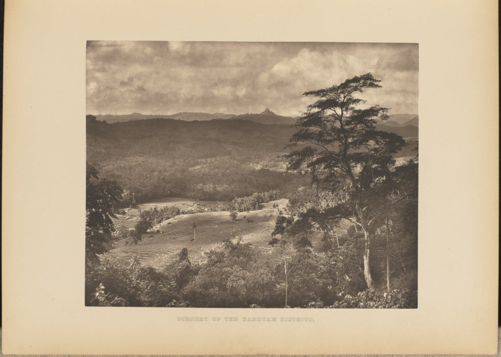 Henry W. Cave:Scenery of the Kandyan District, Poster Print Wall Art