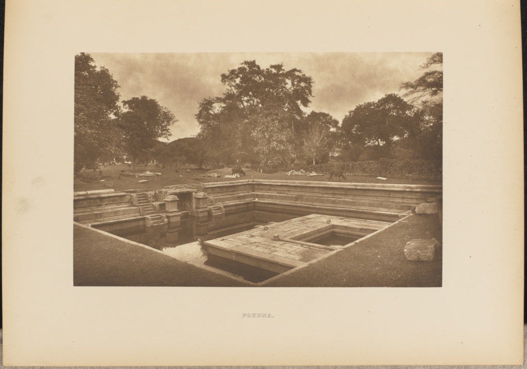 Henry W. Cave:Pokuna, Poster Print Wall Art