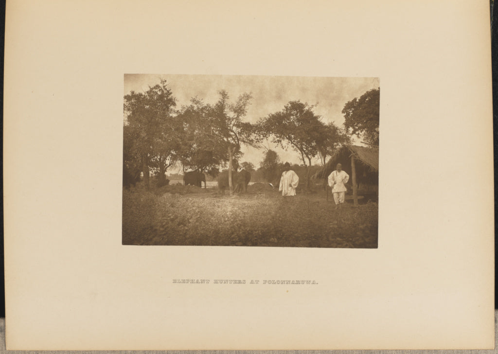Henry W. Cave:Elephant Hunters at Polonnaruwa, Poster Print Wall Art