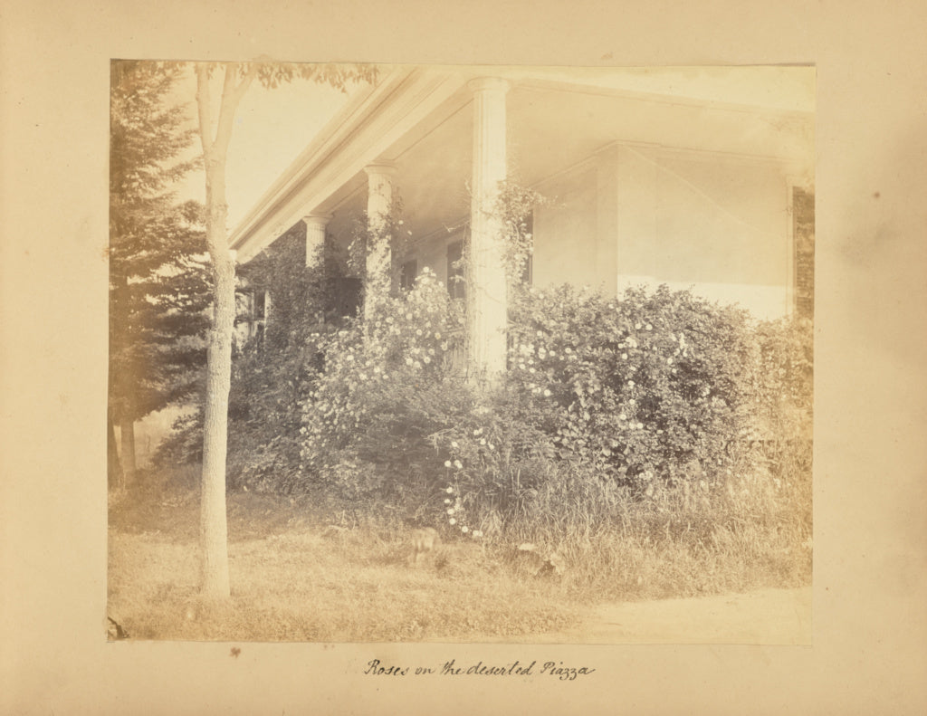 Alfred BoothPossibly:Roses on the Deserted Piazza, Poster Print Wall Art