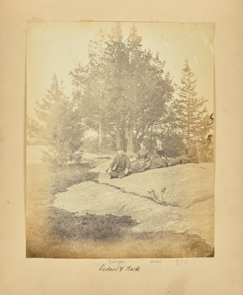 Alfred Booth:Cedars and Rock, Poster Print Wall Art