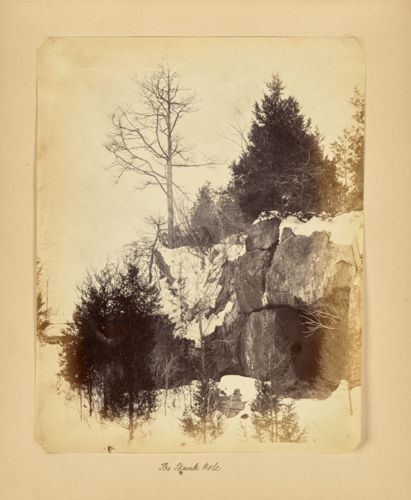 Alfred BoothPossibly:The Skunk Hole, Poster Print Wall Art