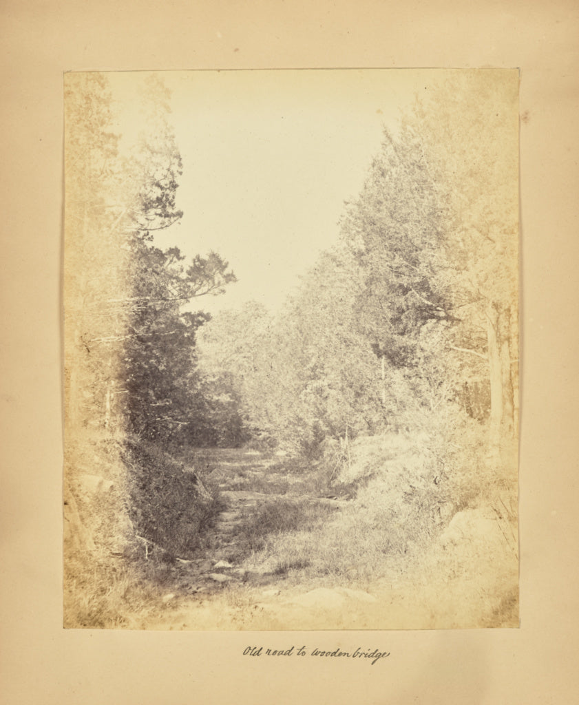 Alfred BoothPossibly:Old Road to Wooden Bridge, Poster Print Wall Art