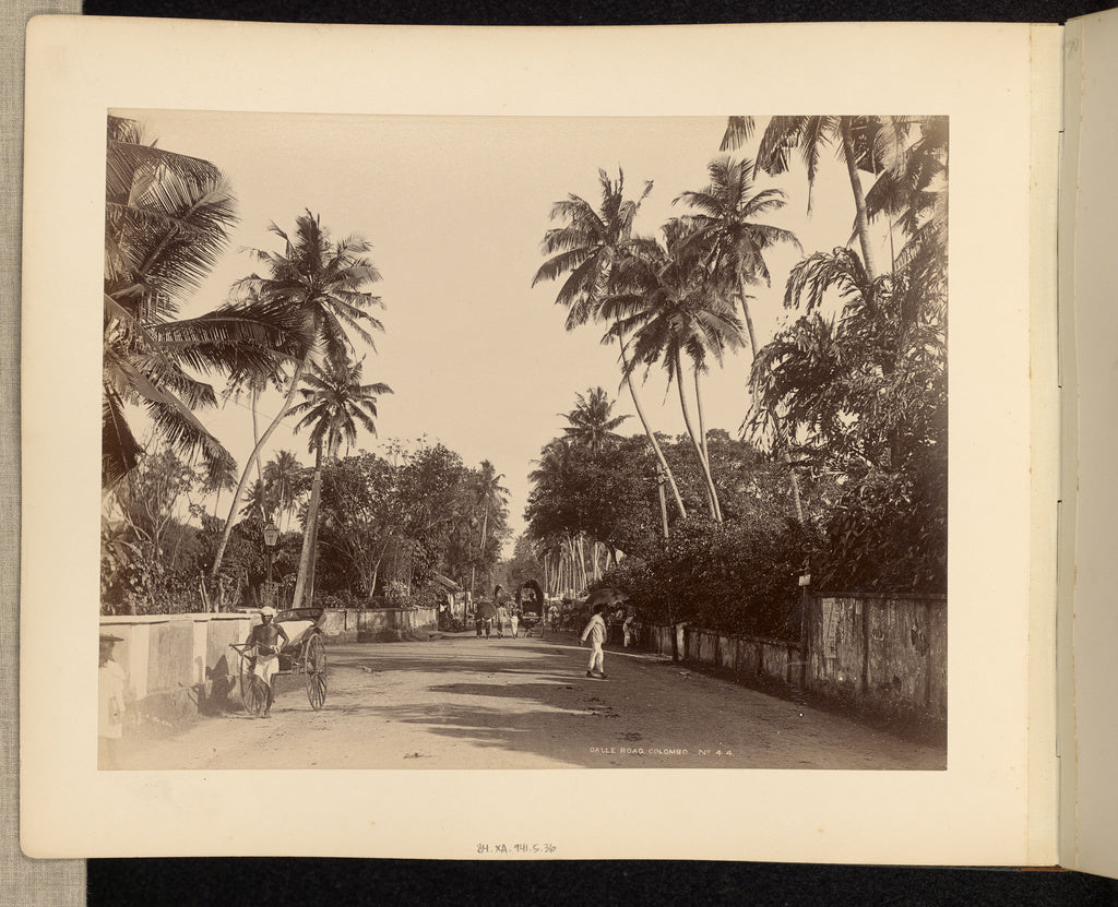The Colombo Apothecaries Co., Ltd.:Galle Road, Colombo, Poster Print Wall Art