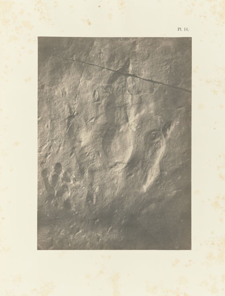 Unknown:Plate 16, Poster Print Wall Art