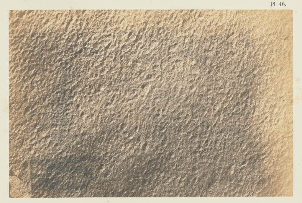 Unknown:Plate 46, Poster Print Wall Art