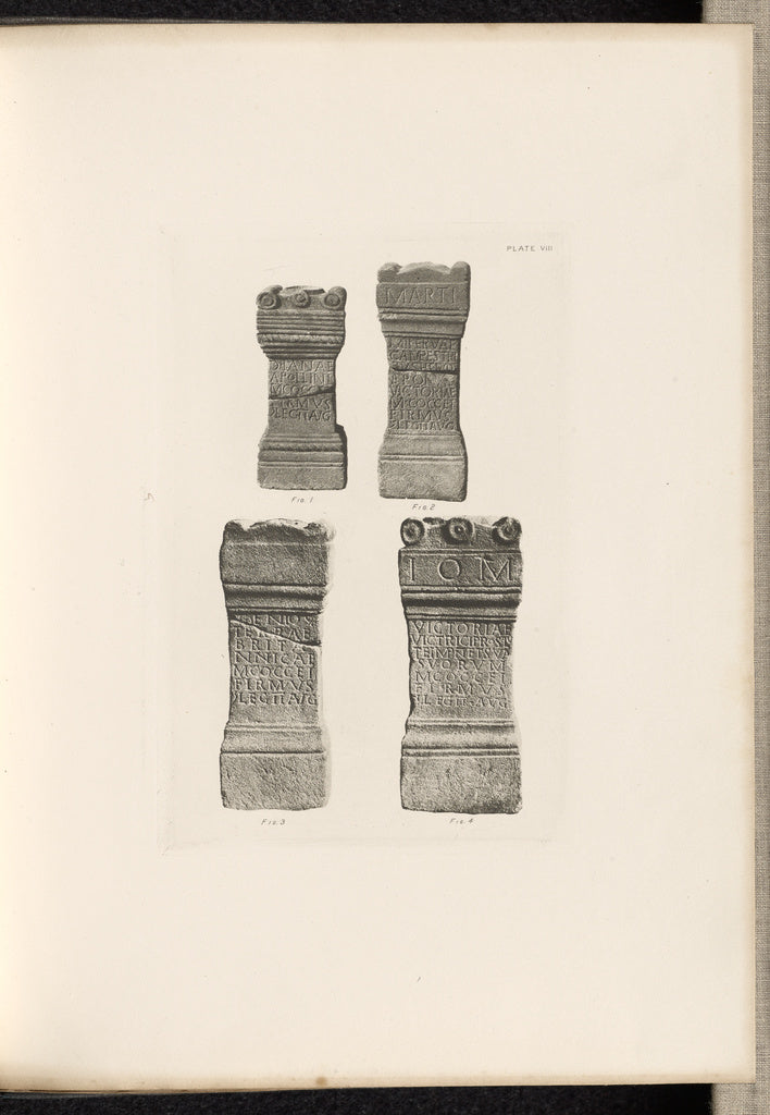 Thomas Annan:Plate VIII, Poster Print Wall Art