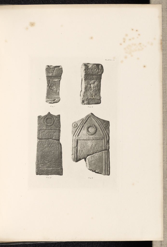 Thomas Annan:Plate XV, Poster Print Wall Art