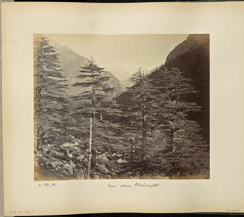 Samuel Bourne:Snowy Peaks near Gangootri, from Bhairamgatri, Poster Print Wall Art