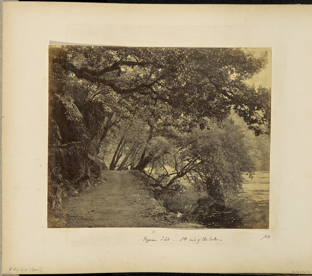 Samuel Bourne:Nynee Tal; Willows and Rocks at the South end , Poster Print Wall Art