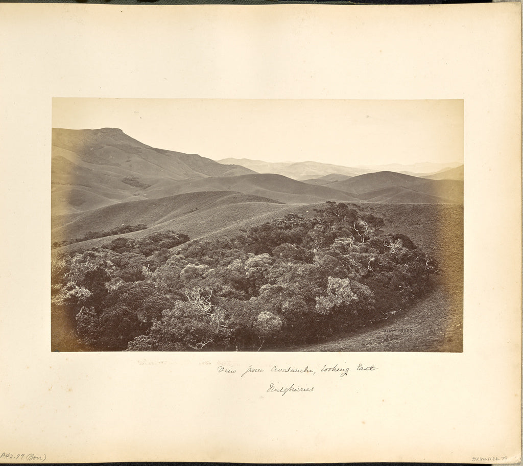 Samuel Bourne:Neilgherries; View from Avalanche, looking Eas, Poster Print Wall Art