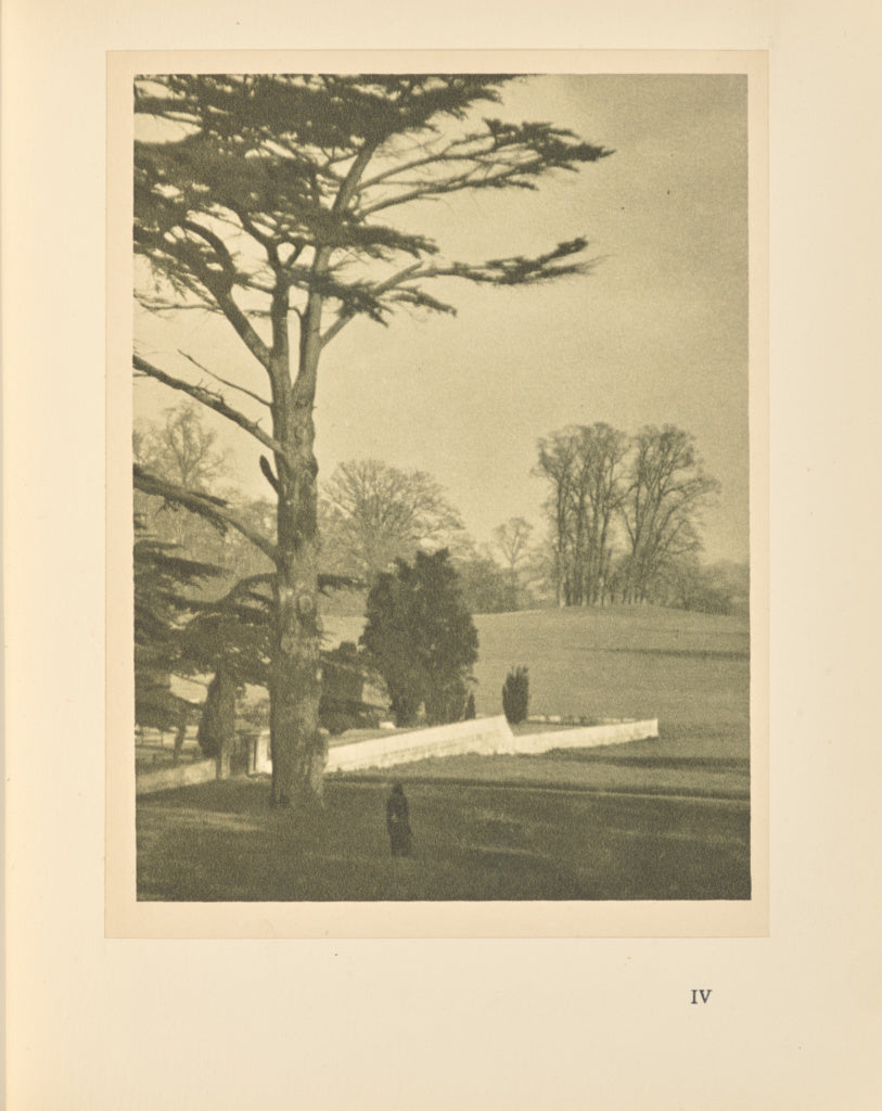 Alvin Langdon Coburn:The Edge of the Garden, Poster Print Wall Art