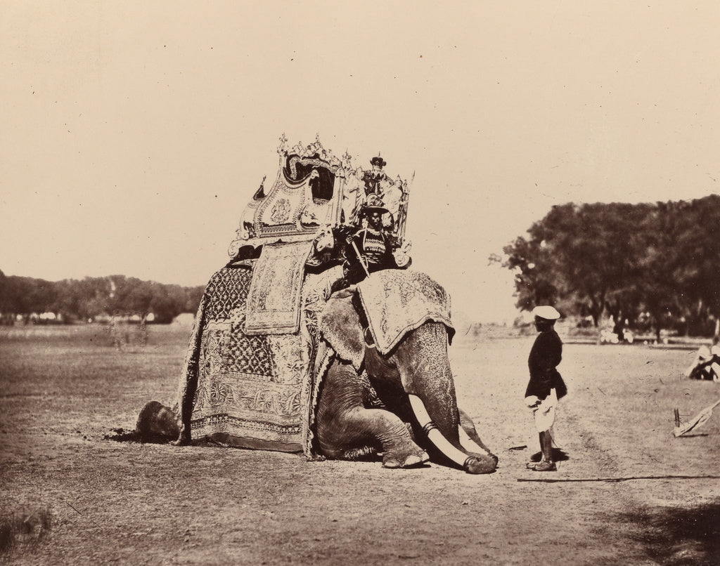 Bourne & Shepherd:H.E. The Viceroy's Elephant, Poster Print Wall Art