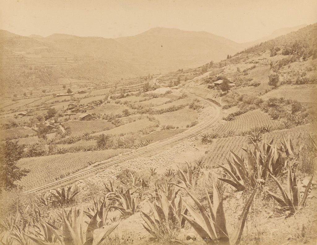 Abel Briquet:Mexico. Panoramic View of the Valley of El Laur, Poster Print Wall Art