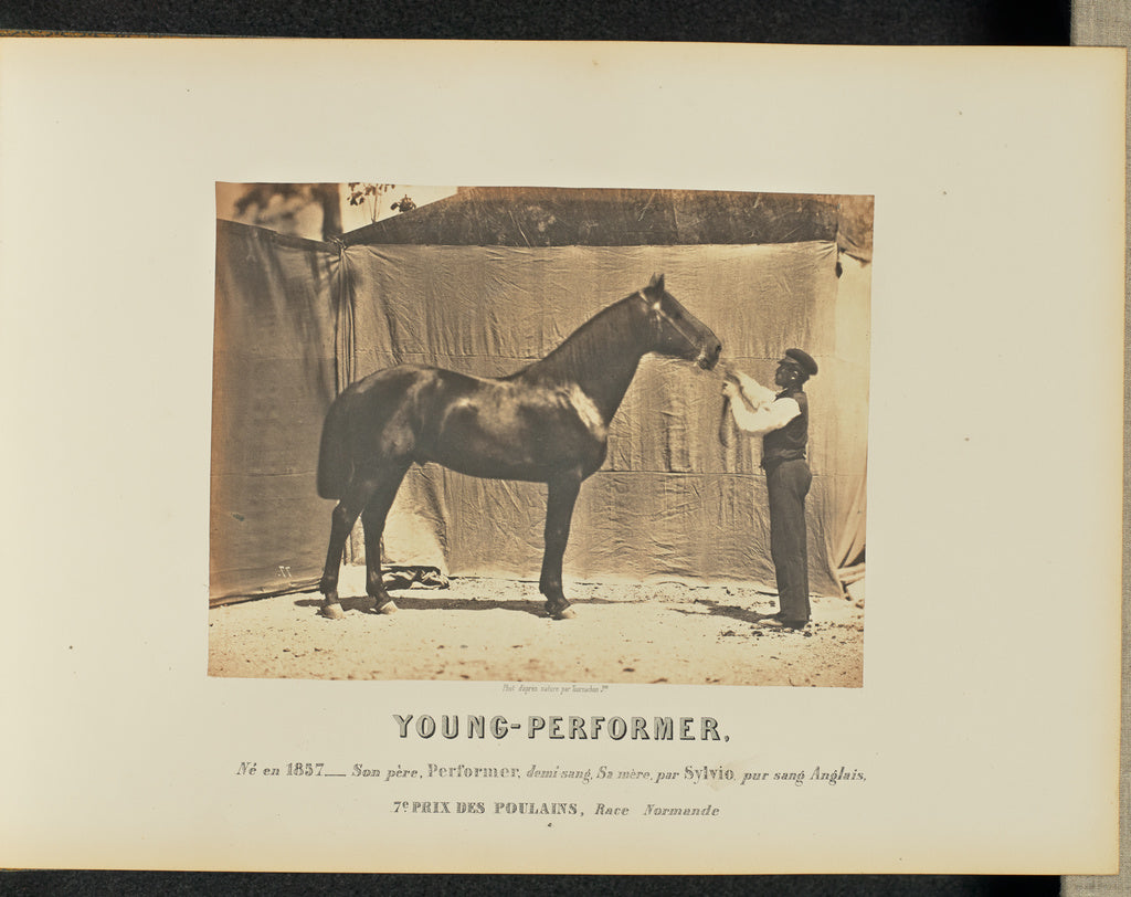 Adrien Alban Tournachon:Young-Performer, Poster Print Wall Art