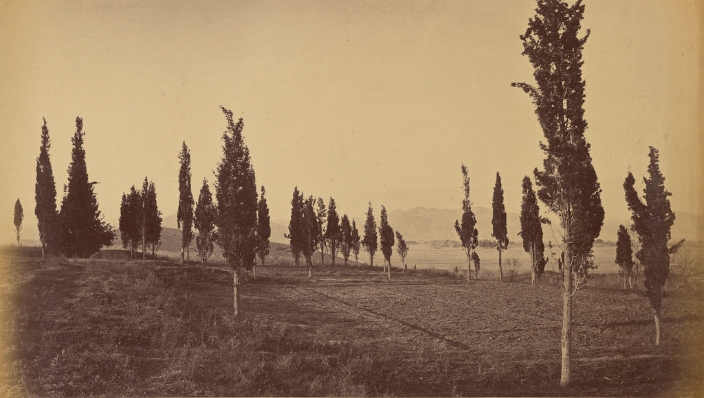 John Burke:Bird's Eye View of Jellalabad, from the springs, Poster Print Wall Art
