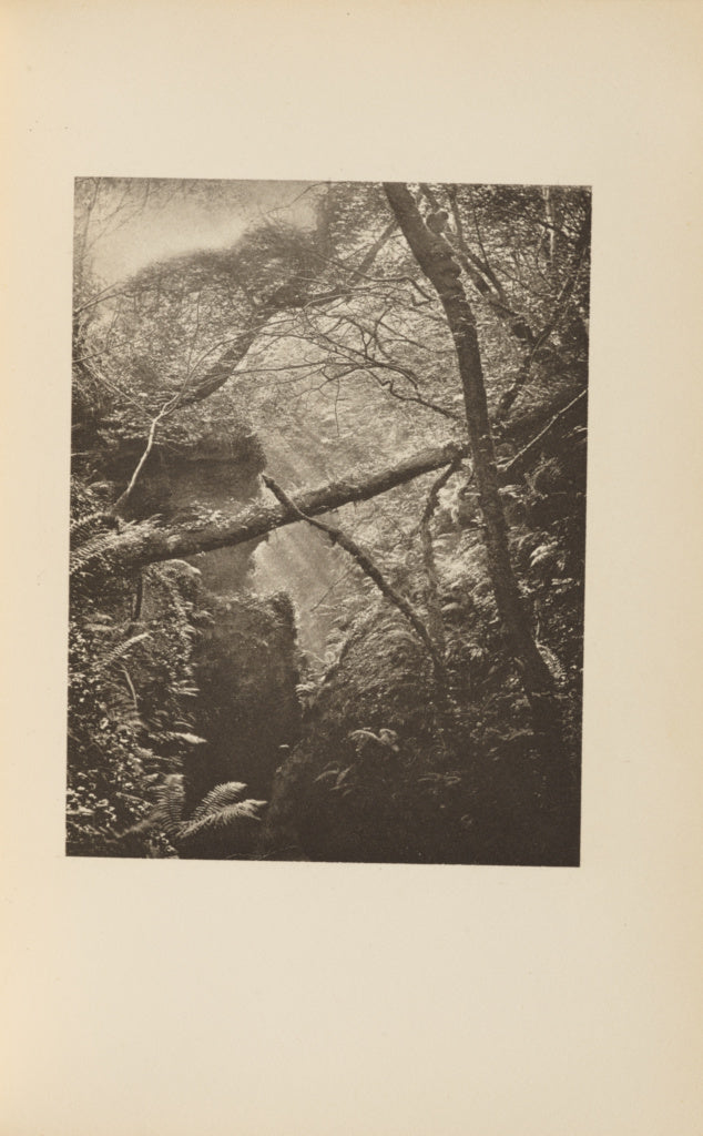 Francis Frith:Wizard's Slough, Poster Print Wall Art