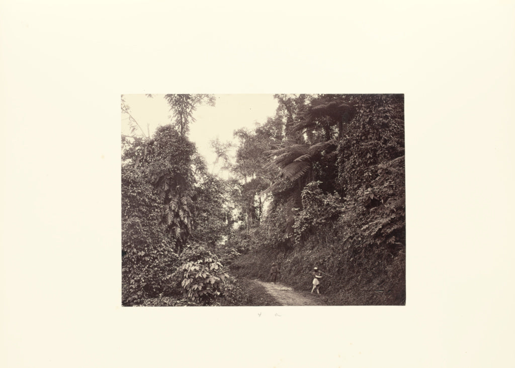 Unknown maker:Man Chopping Vine at Road Side, Poster Print Wall Art