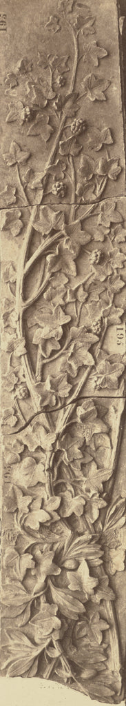 edouard Baldus:[Detail of the Decoration of the Pavillon de , Poster Print Wall Art