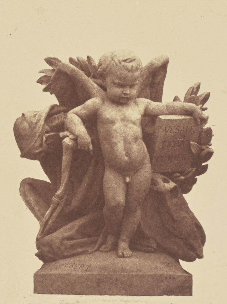 edouard Baldus:["L'Anatomie", Sculpture by Emile Hébert, De, Poster Print Wall Art