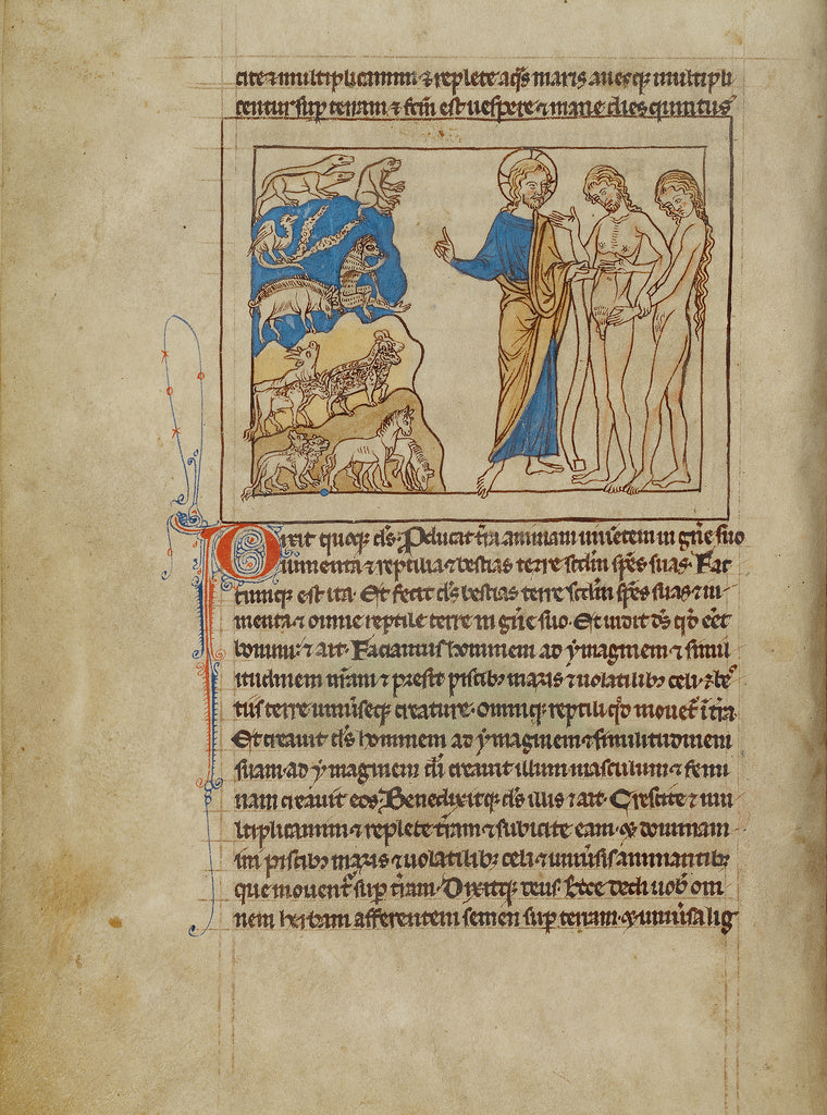 Unknown:The Creation of the Animals and of Adam and Eve, Poster Print Wall Art