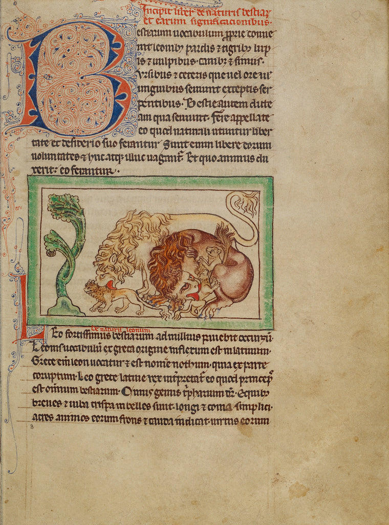 Unknown:Northumberland Bestiary, Poster Print Wall Art