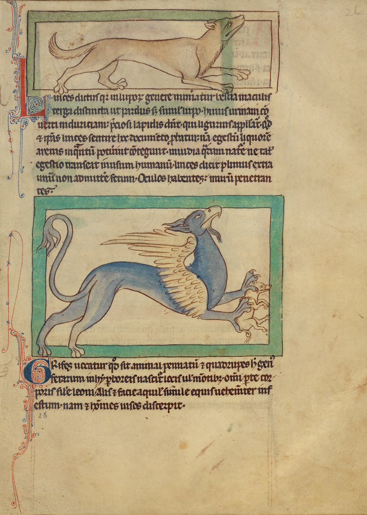 Unknown Artist:A Lynx; A Griffin, Poster Print Wall Art