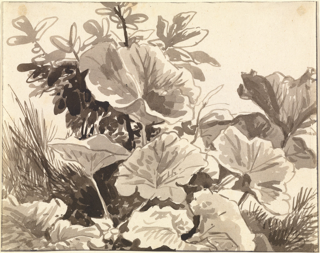 Franz Innocenz Kobell:Study of Coltsfoot Leaves, Poster Print Wall Art