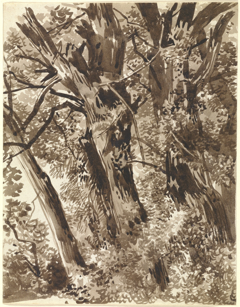 Franz Innocenz Kobell:Trunks and Branches, Poster Print Wall Art